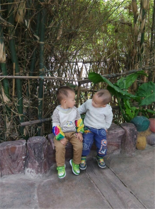 森榮214長(cháng)鹿農莊旅游3